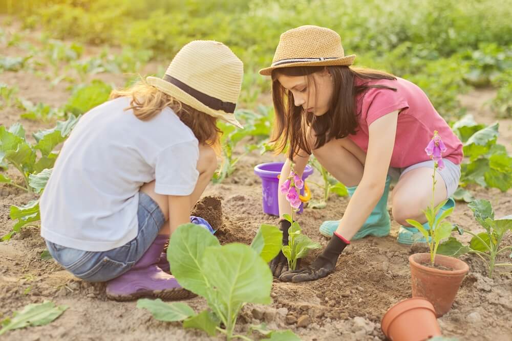 Garden Activities